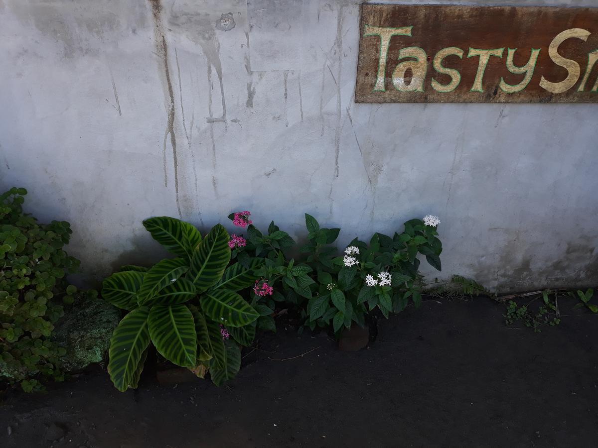 Mi Ranchito Panzió Santa Cruz Kültér fotó