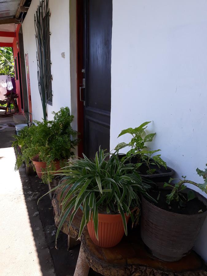 Mi Ranchito Panzió Santa Cruz Kültér fotó